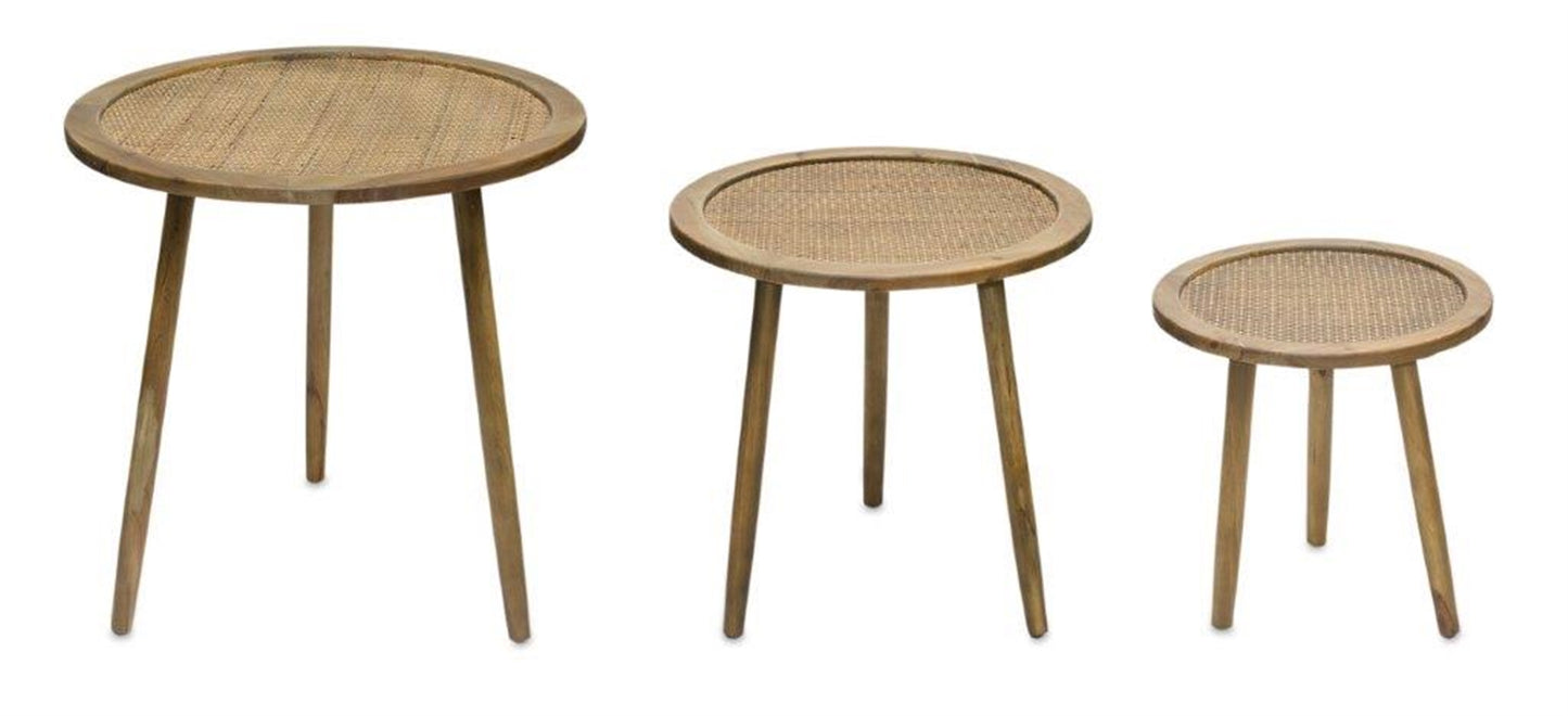 Rattan Wood Accent Table Modern Home Decor (Set of 3)