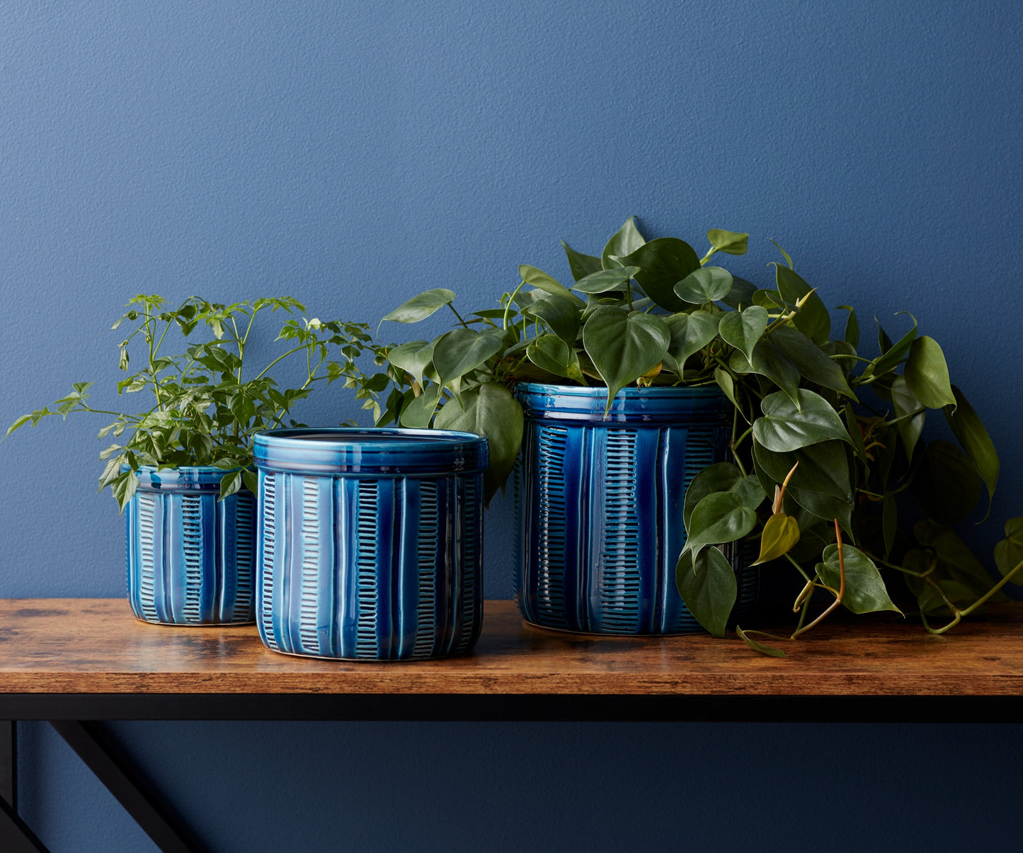  Trendy Blue Etched Ceramic Planter with Terra Cotta Pot Aesthetics