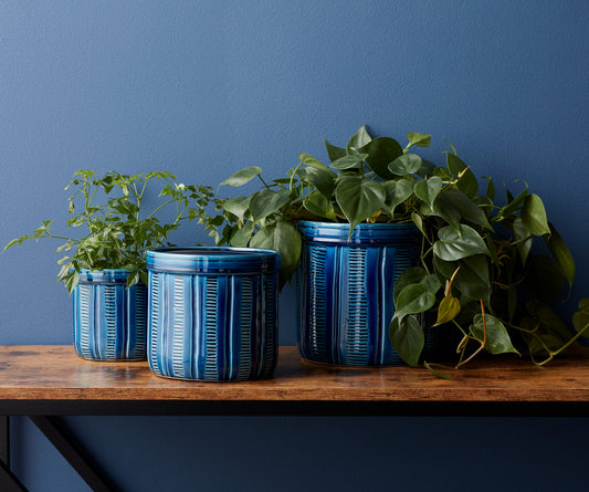  Trendy Blue Etched Ceramic Planter with Terra Cotta Pot Aesthetics