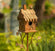 Country Style Iron Birdhouse Stake "Chimney House"